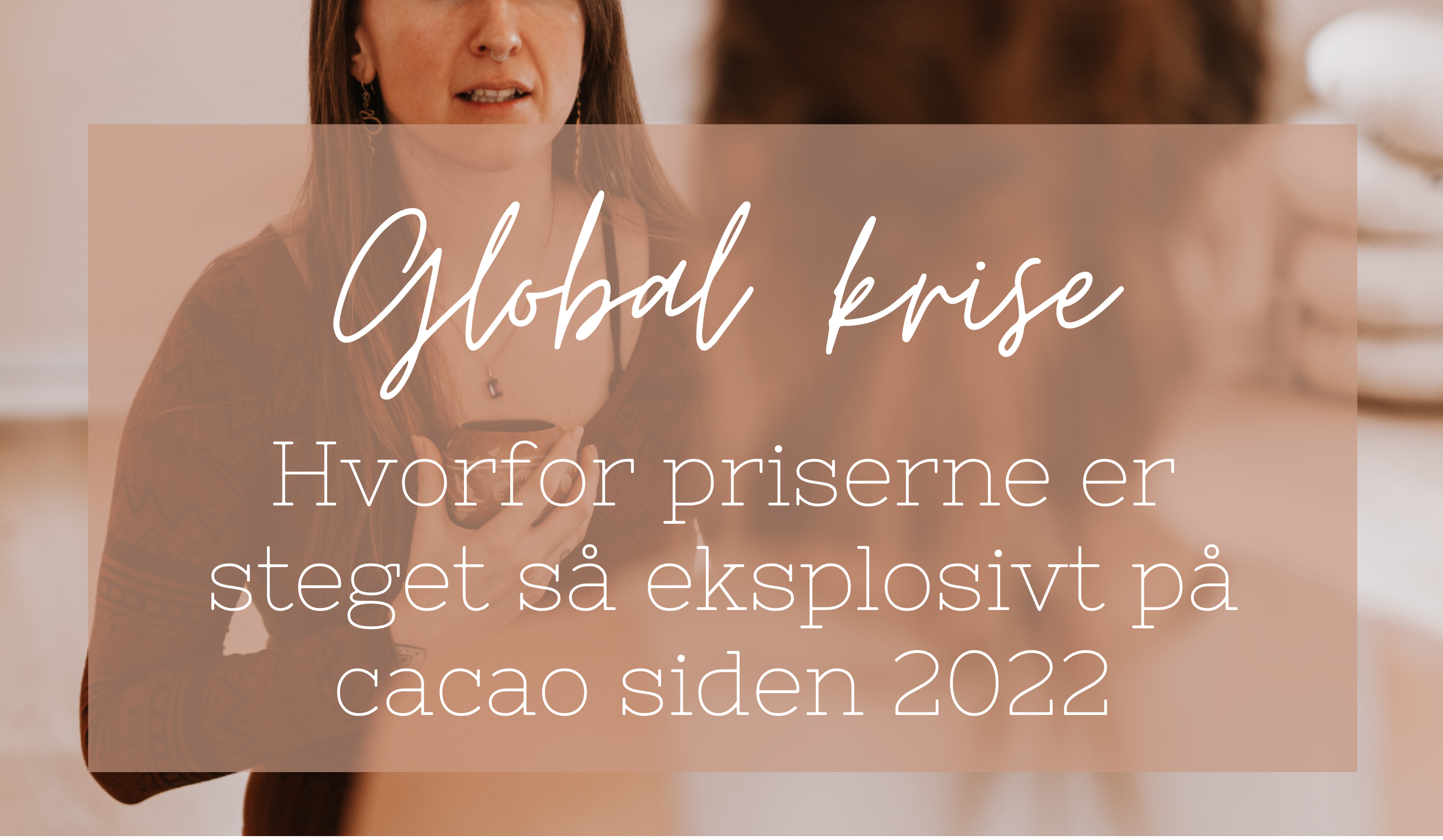 Global krise: hvorfor priserne på kakao er steget så eksplosivt siden 2022