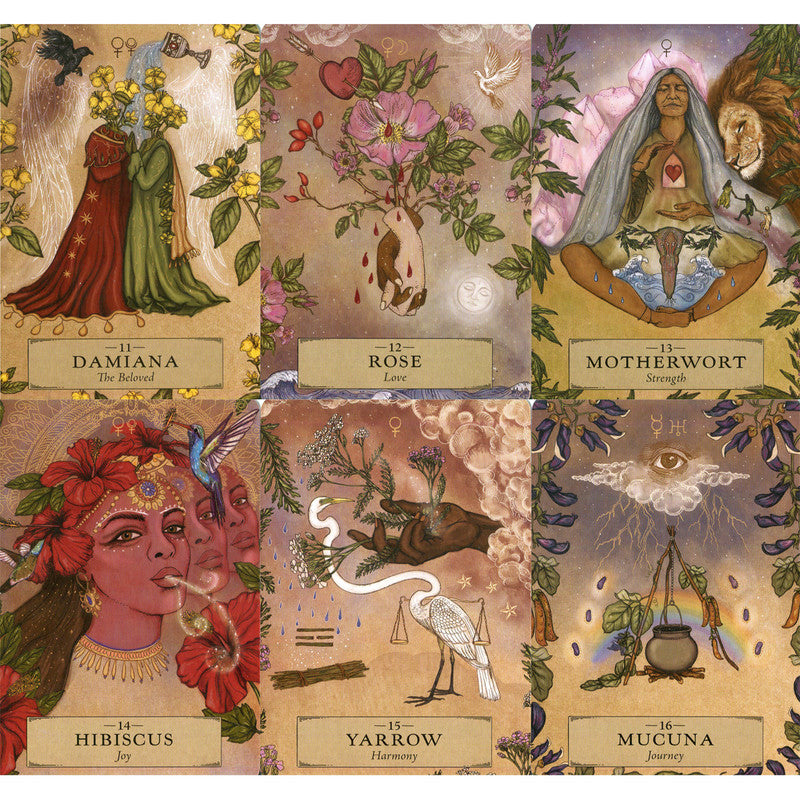 Herbal Astrology Oracle