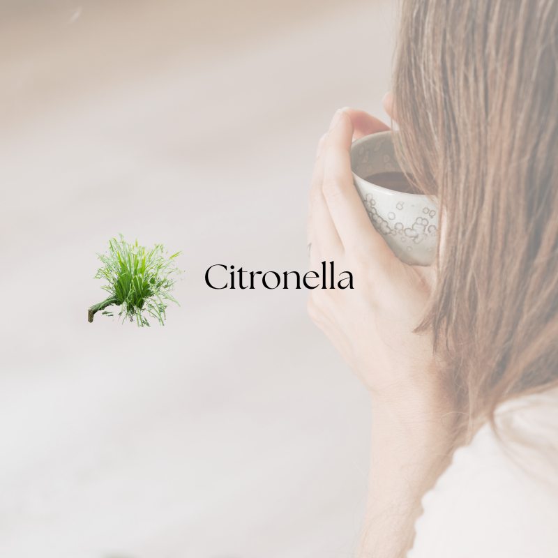doTERRA Citronella
