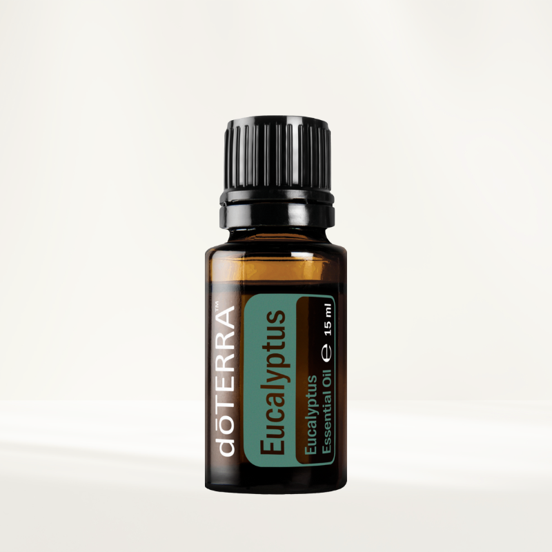 doTERRA Eucalyptus (Eukalyptus)