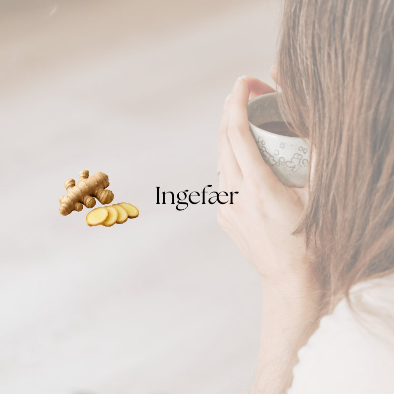 doTERRA Ginger (Ingefær)