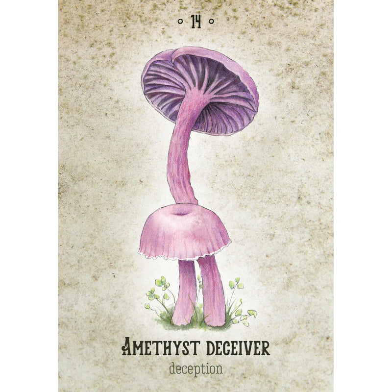 Mushroom Spirit Oracle