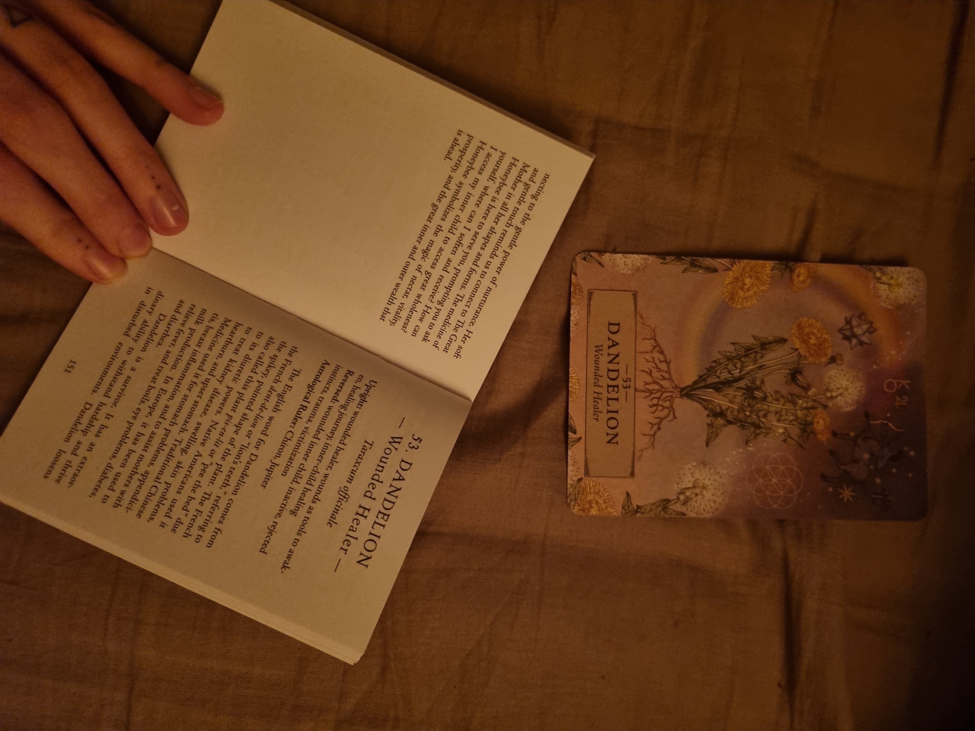 Herbal Astrology Oracle