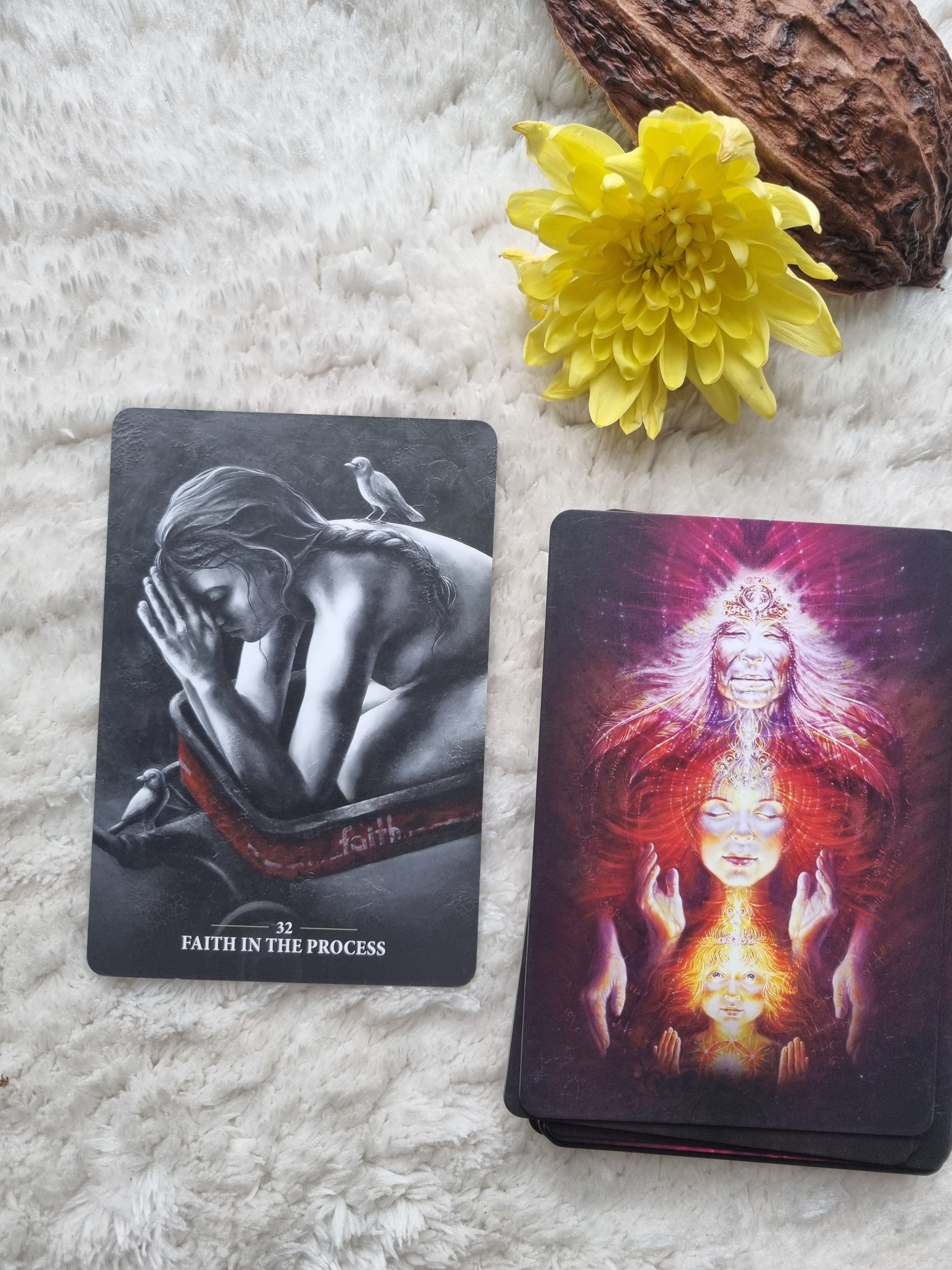 Sacred Rebels Oracle