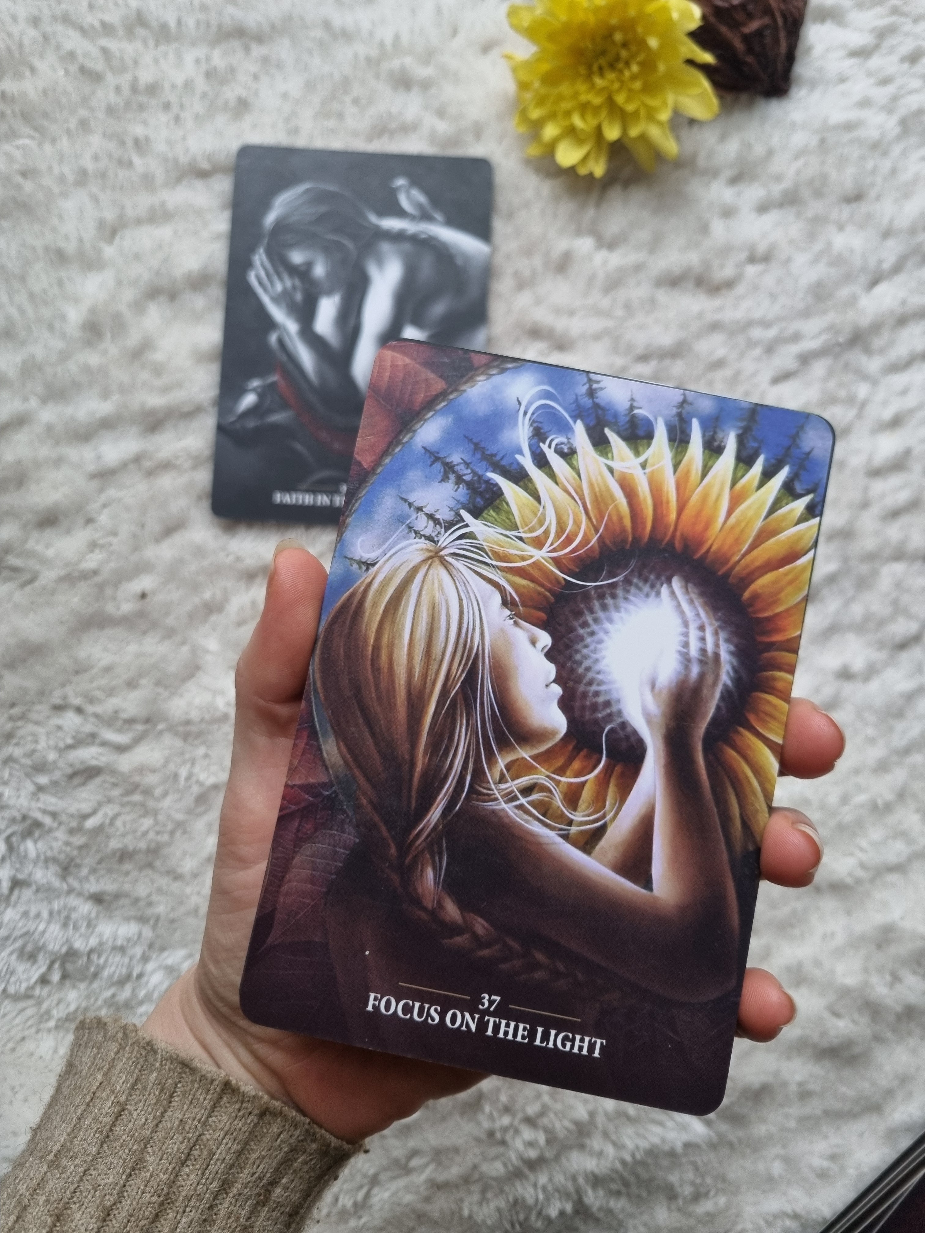 Sacred Rebels Oracle