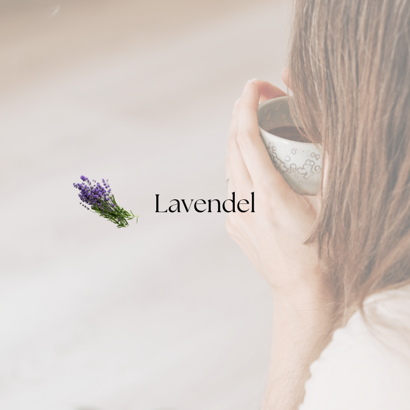 doTERRA Lavender Touch (Lavendel)