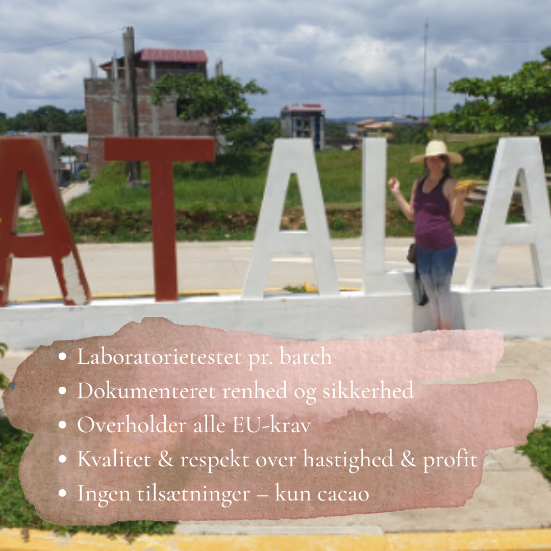 Ny i cacaoens univers (inkl. guide+meditation)