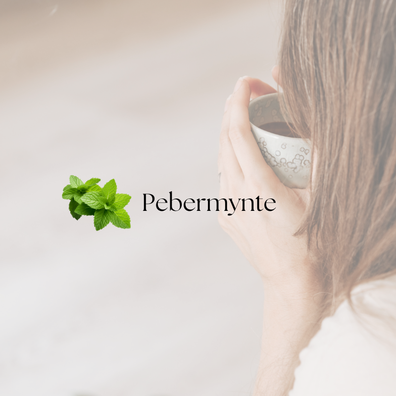 doTERRA Peppermint (Pebermynte)