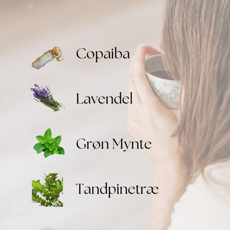 doTERRA Rescuer Touch (Kids Collection)