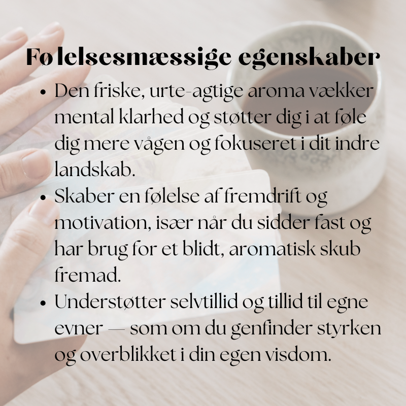 doTERRA Rosmarin (15ml)