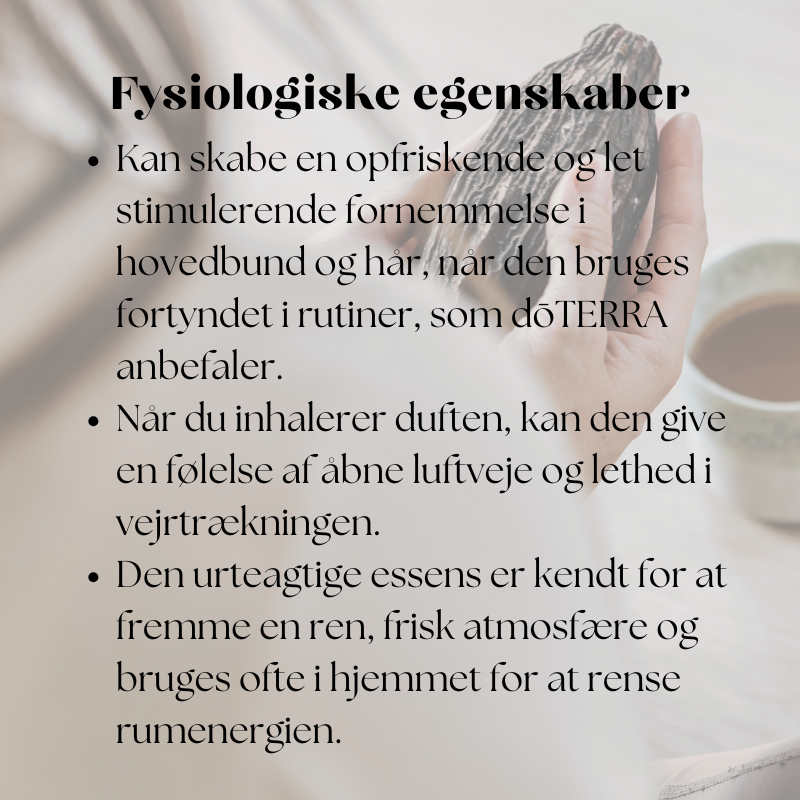 doTERRA Rosmarin (15ml)