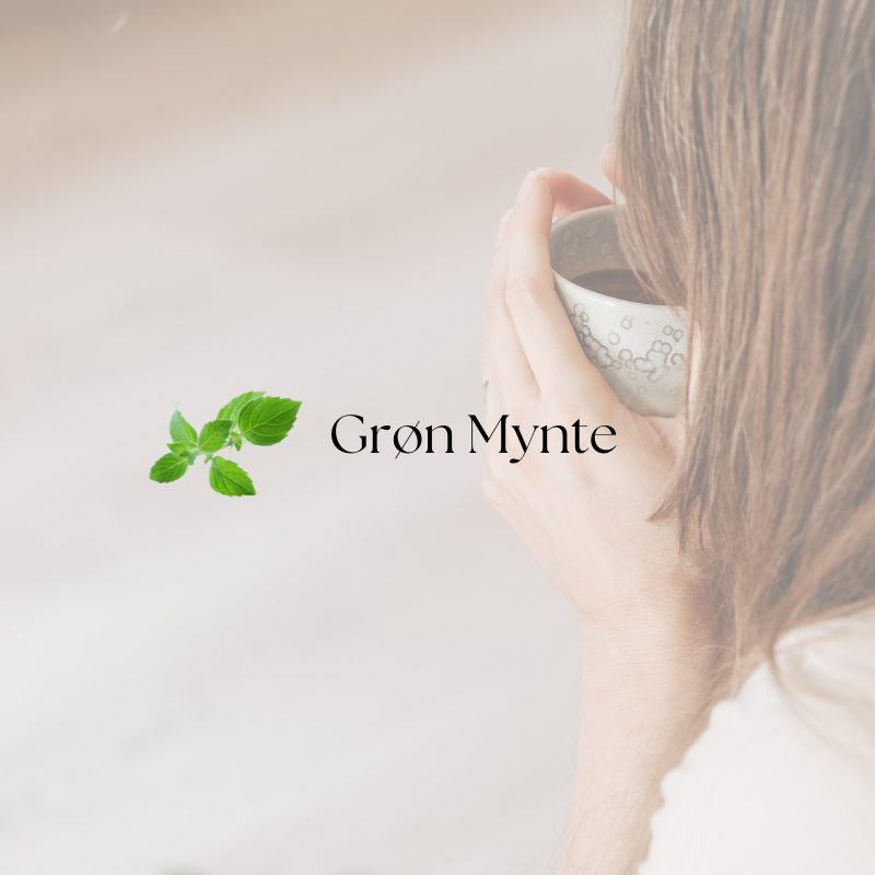 doTERRA Spearmint (Grøn Mynte)