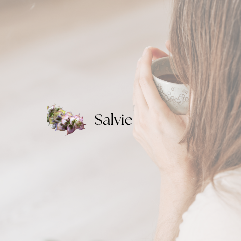 doTERRA Clary Sage (Salvie)