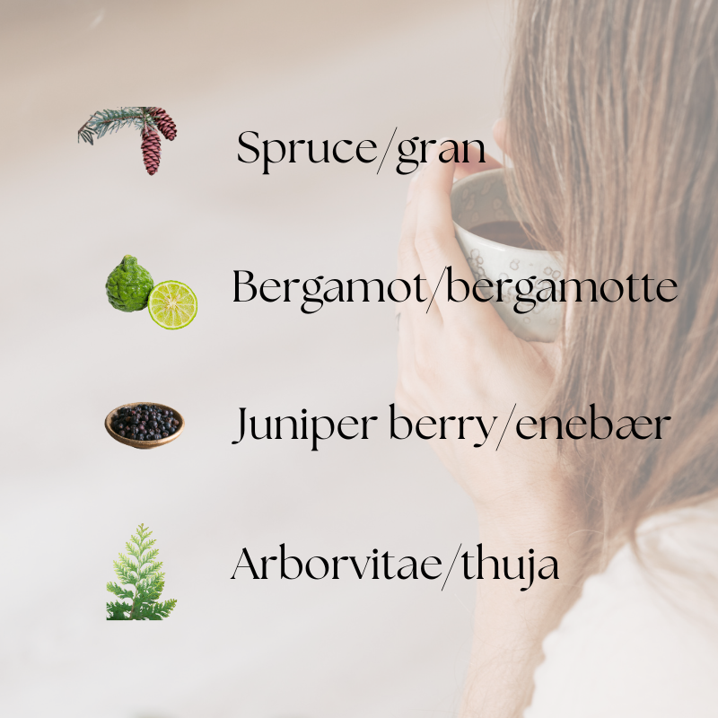 doTERRA Forgive Touch