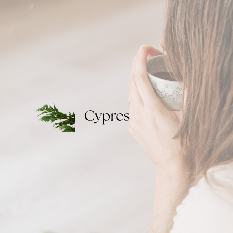 doTERRA Cypress