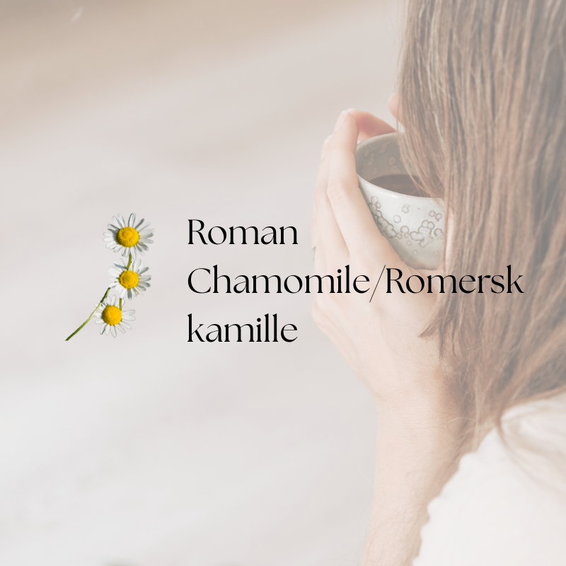 doTERRA Roman Chamomile
