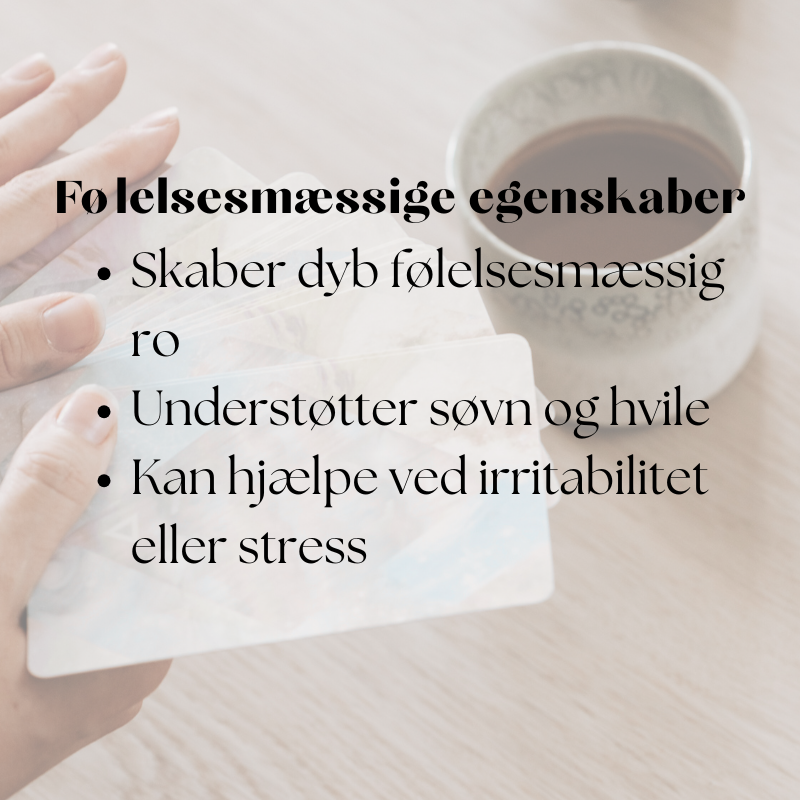 doTERRA Roman Chamomile