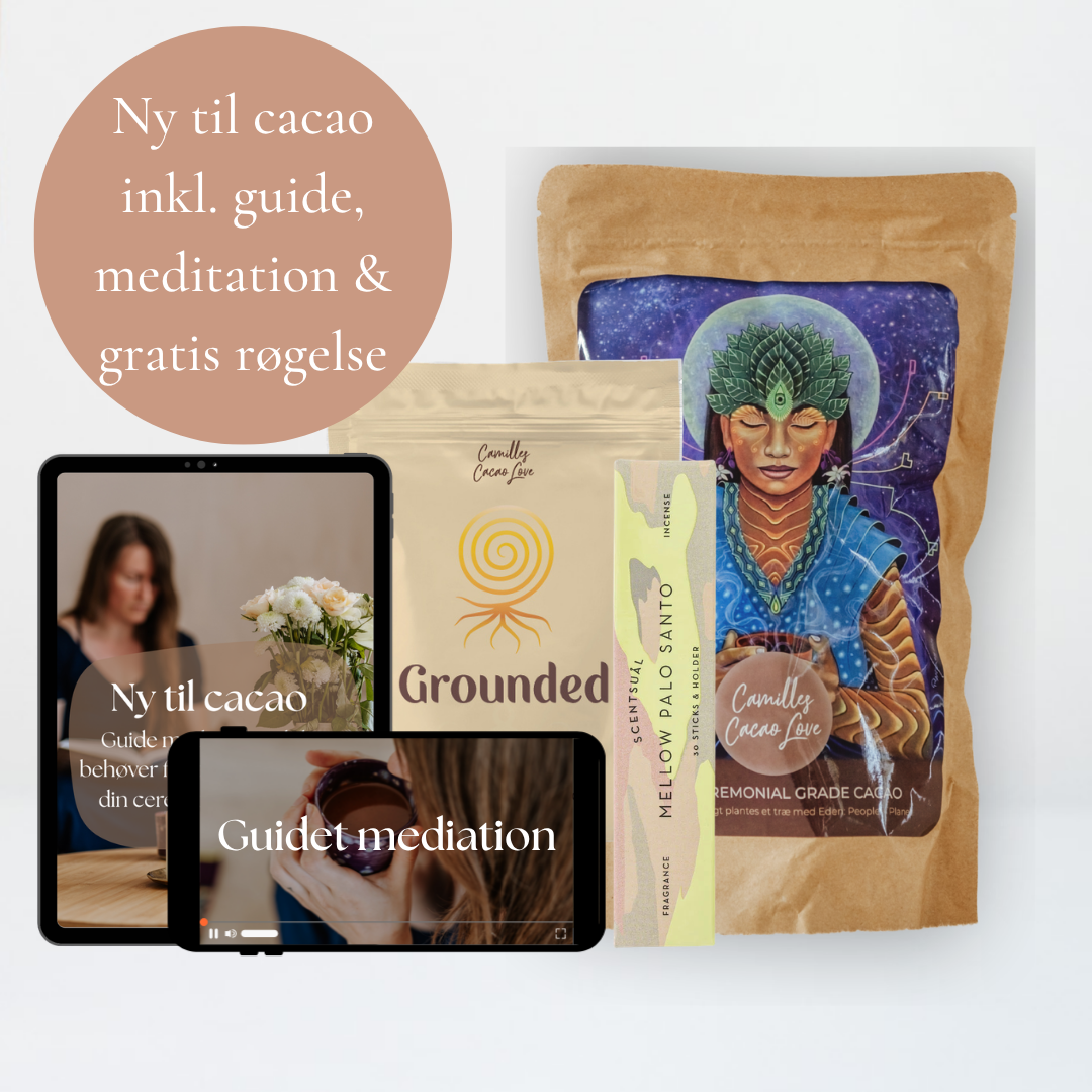 Ny i cacaoens univers (inkl. guide+meditation)