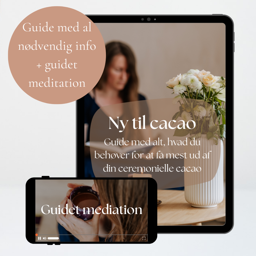 Beginner's guide & Meditation: "Det første møde med cacaoen" 🤎