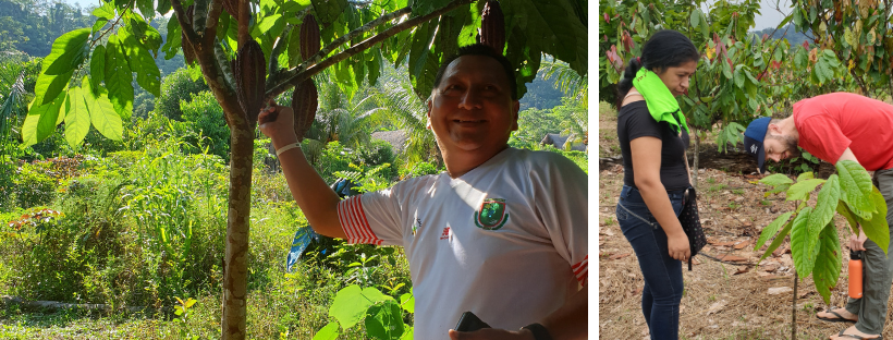 Ceremonielle Stunder (+ Nymåne & Fuldmåne Guideninger)