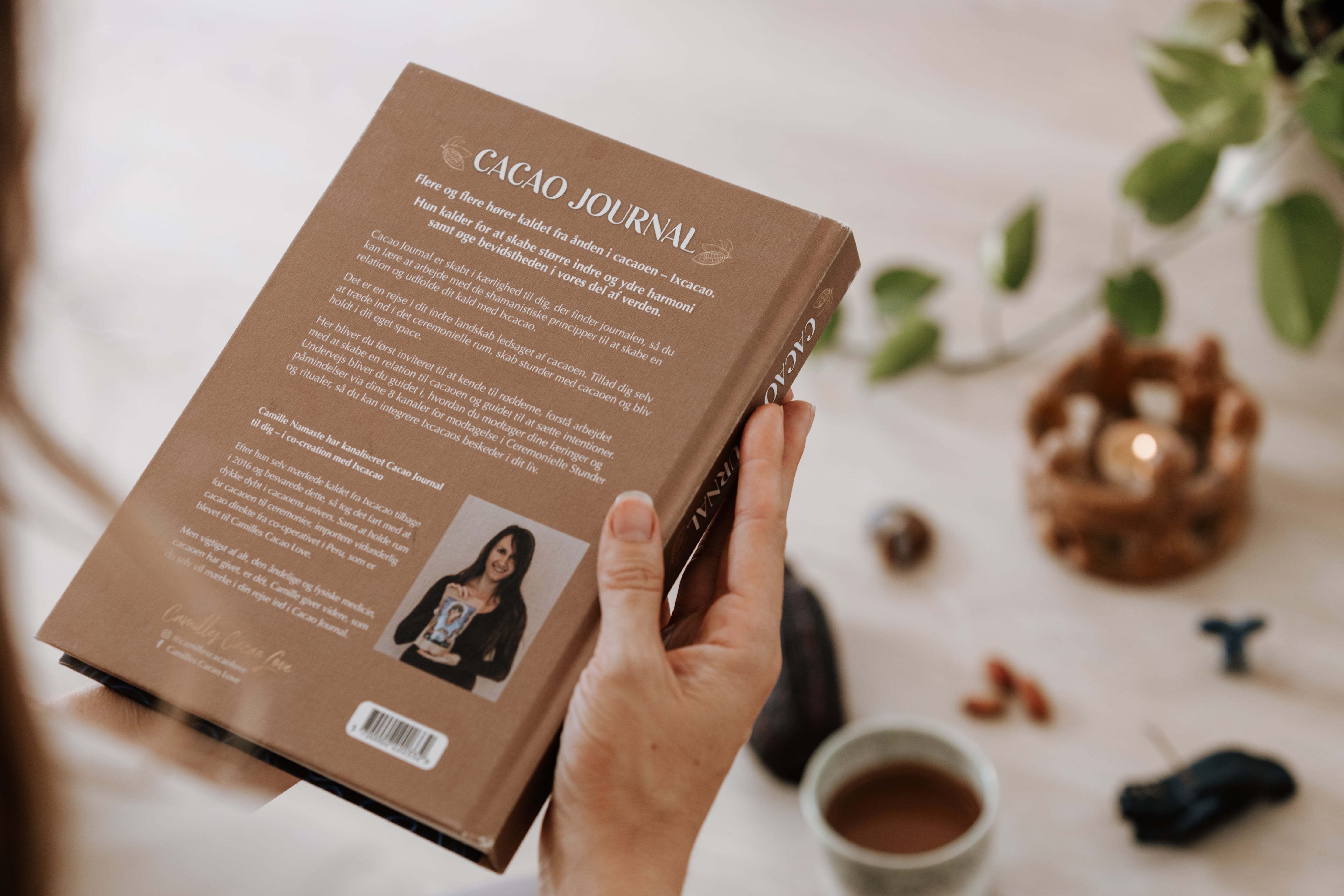 Ceremonielle Stunder (+ Nymåne & Fuldmåne Guideninger)