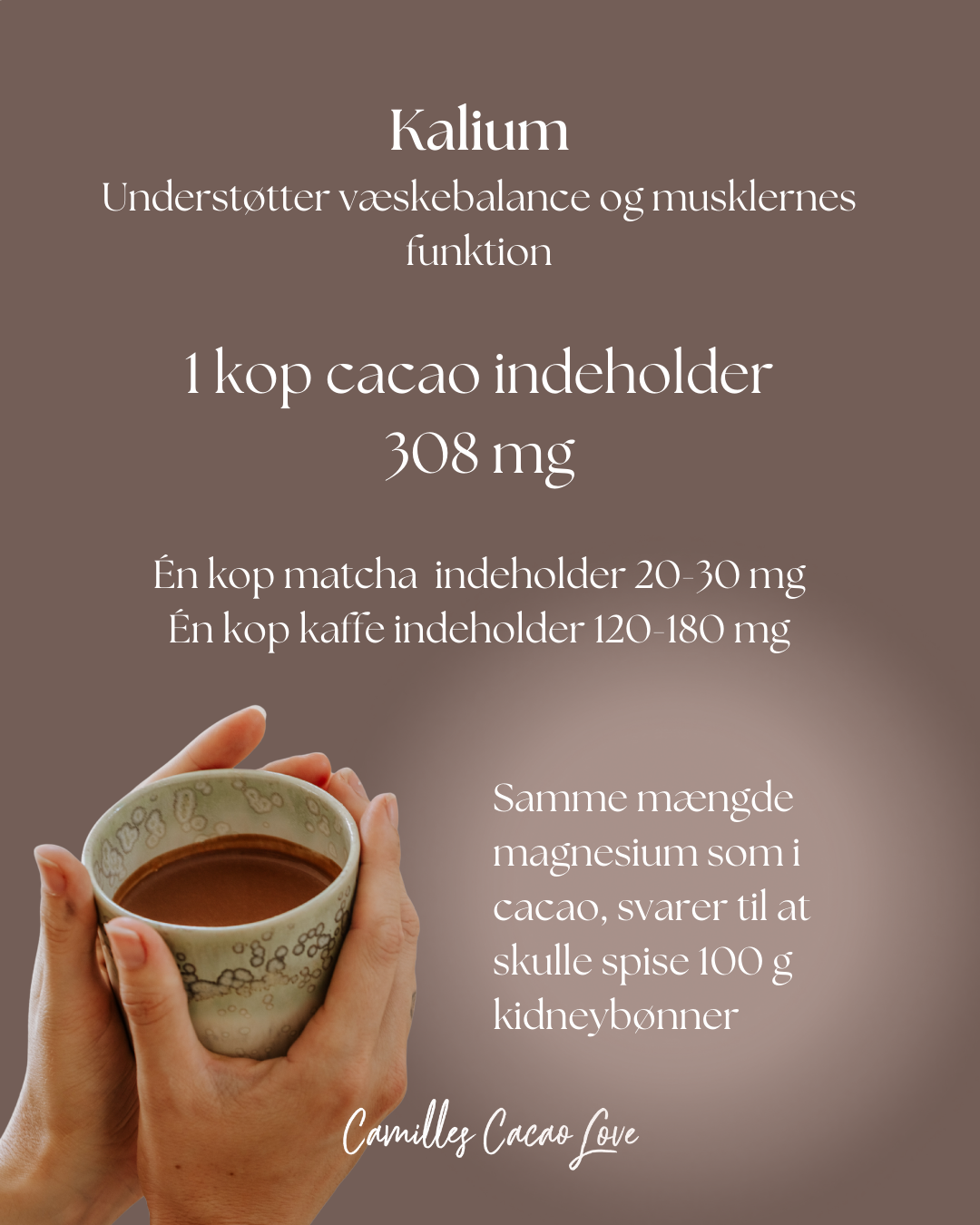 Camilles Cacao Love 420g