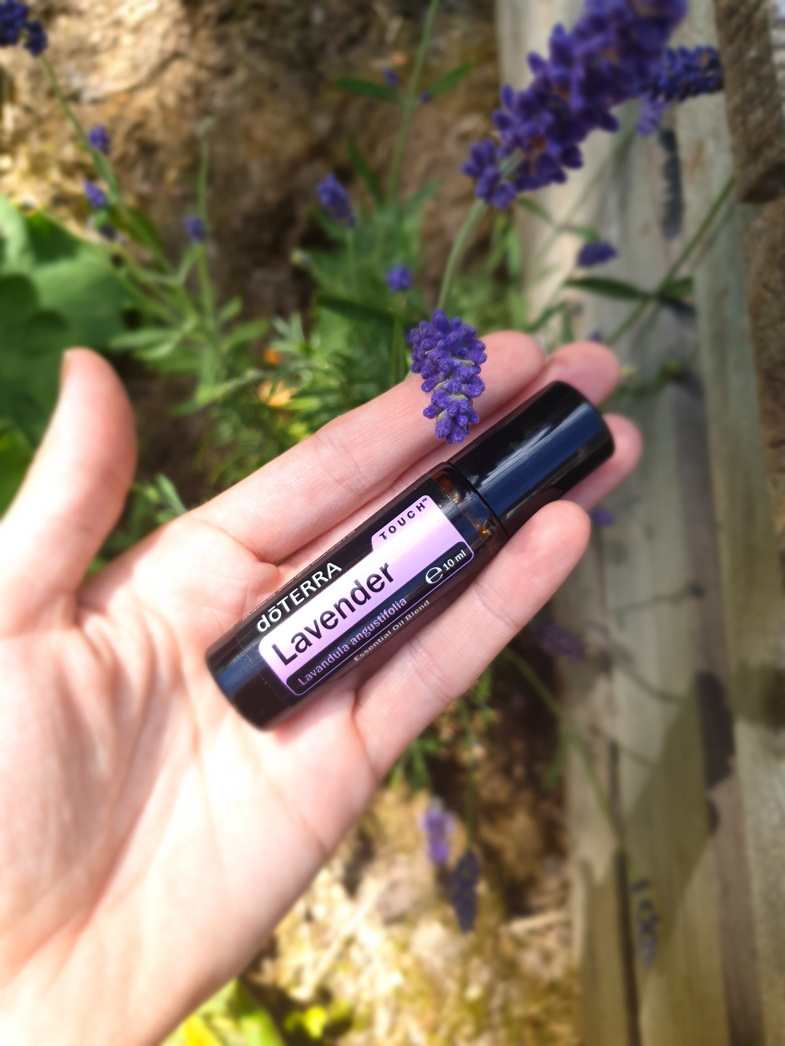 doTERRA Lavender Touch (Lavendel)