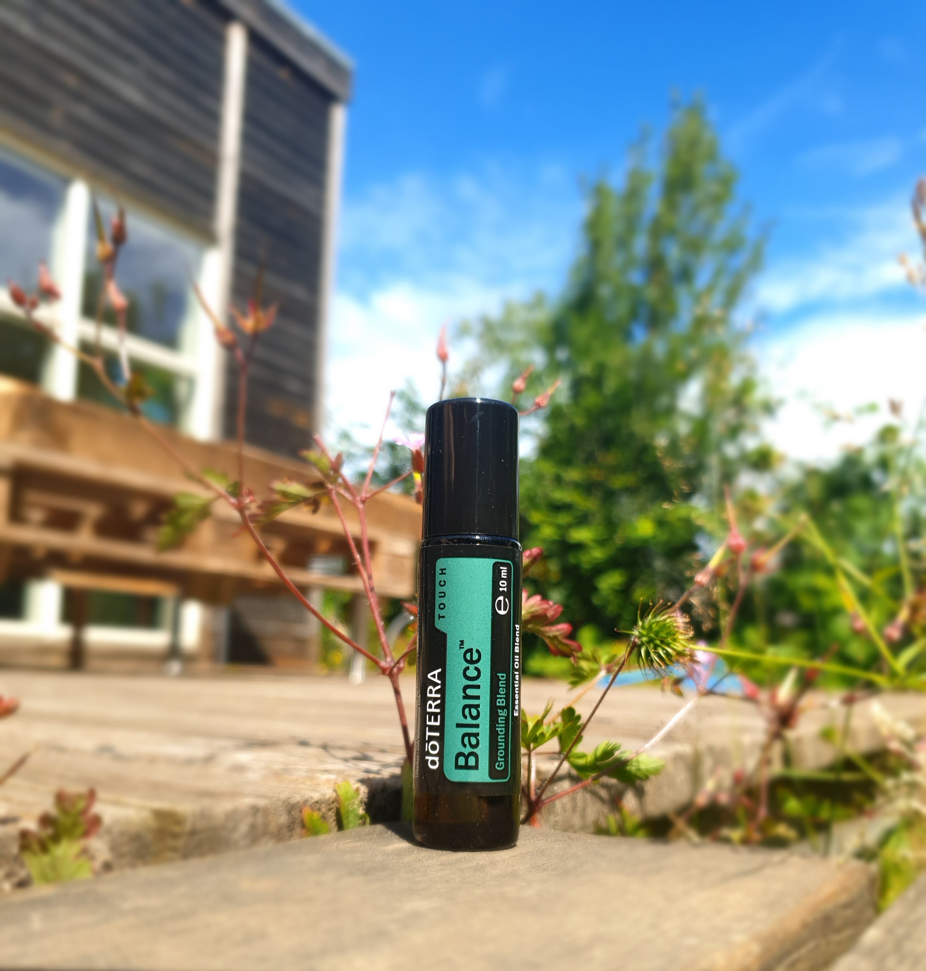 doTERRA Balance Touch