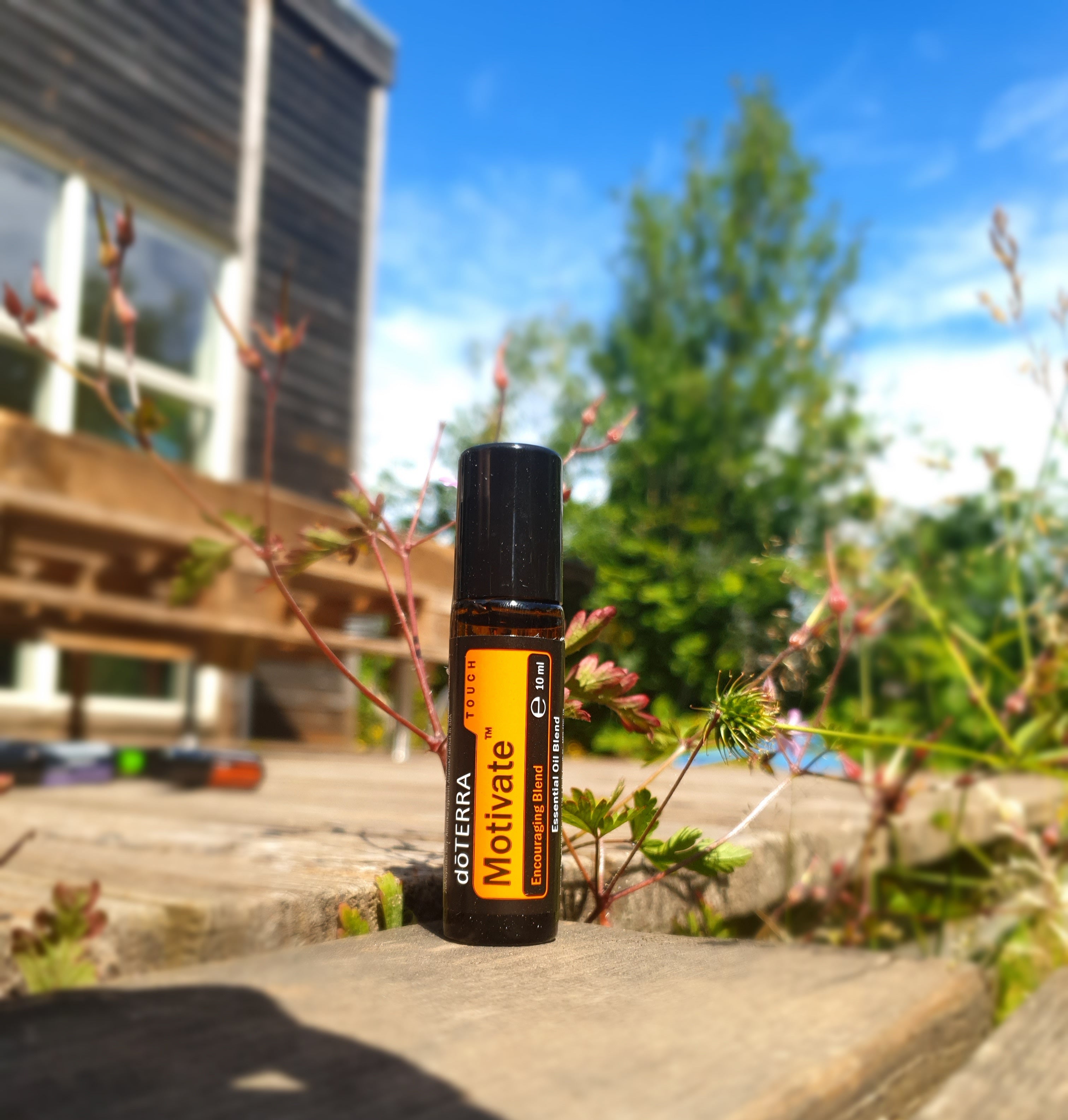 doTERRA Motivate Touch