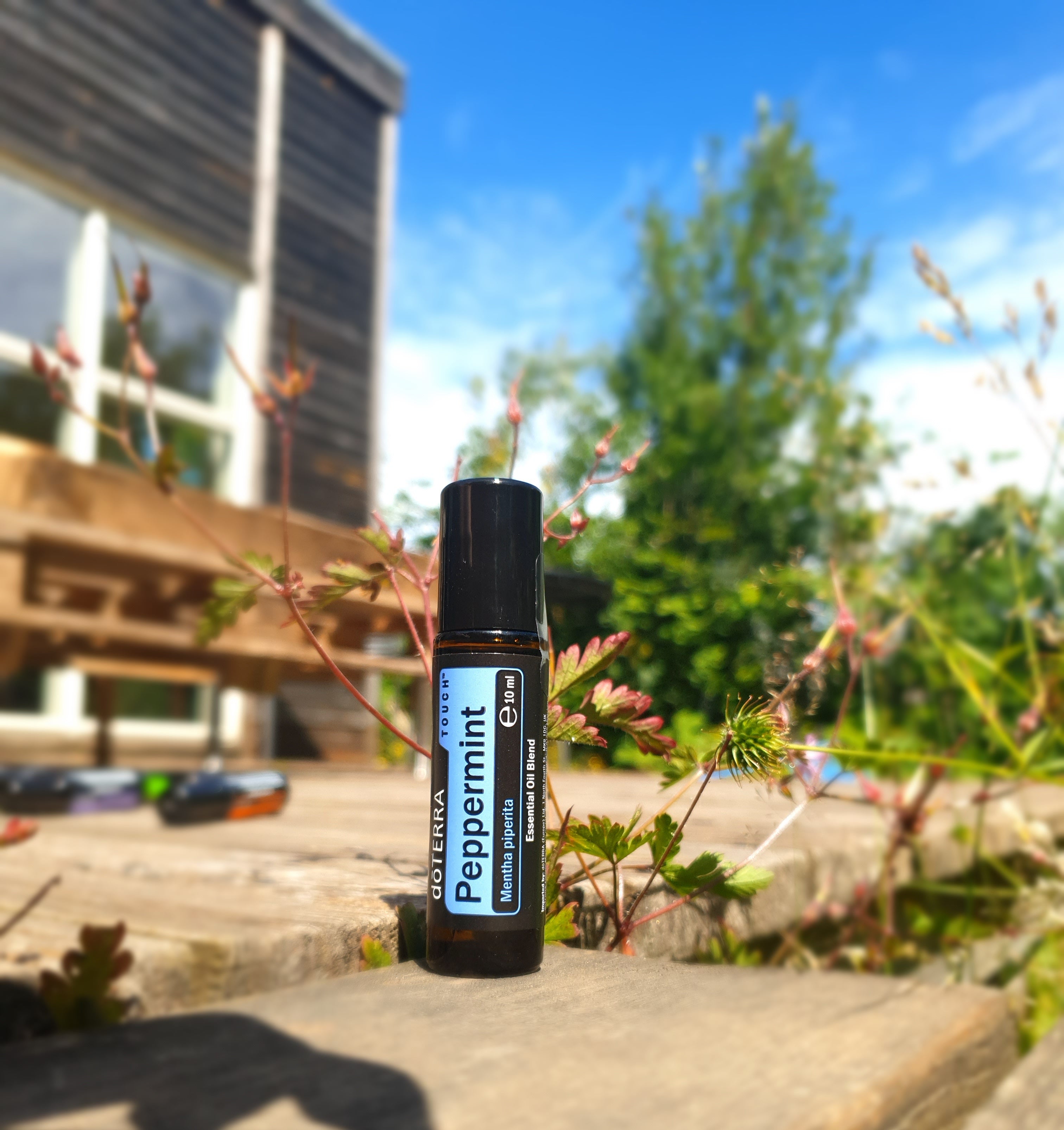 doTERRA Peppermint Touch (Pebermynte)