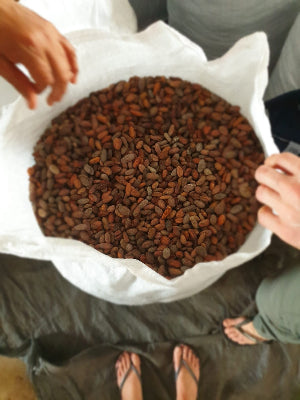 Hvad er forskellen på almindelig kakao og ceremonial kakao?