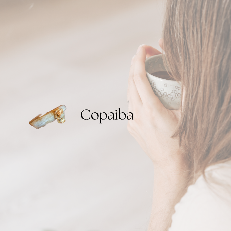doTERRA Copaiba Touch