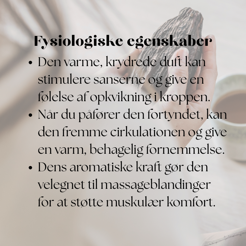 doTERRA Cinnamon (ceylon kanel)