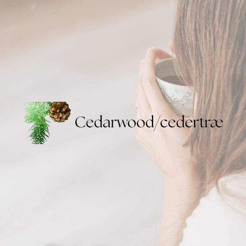 doTERRA Cedarwood (cedertræ)