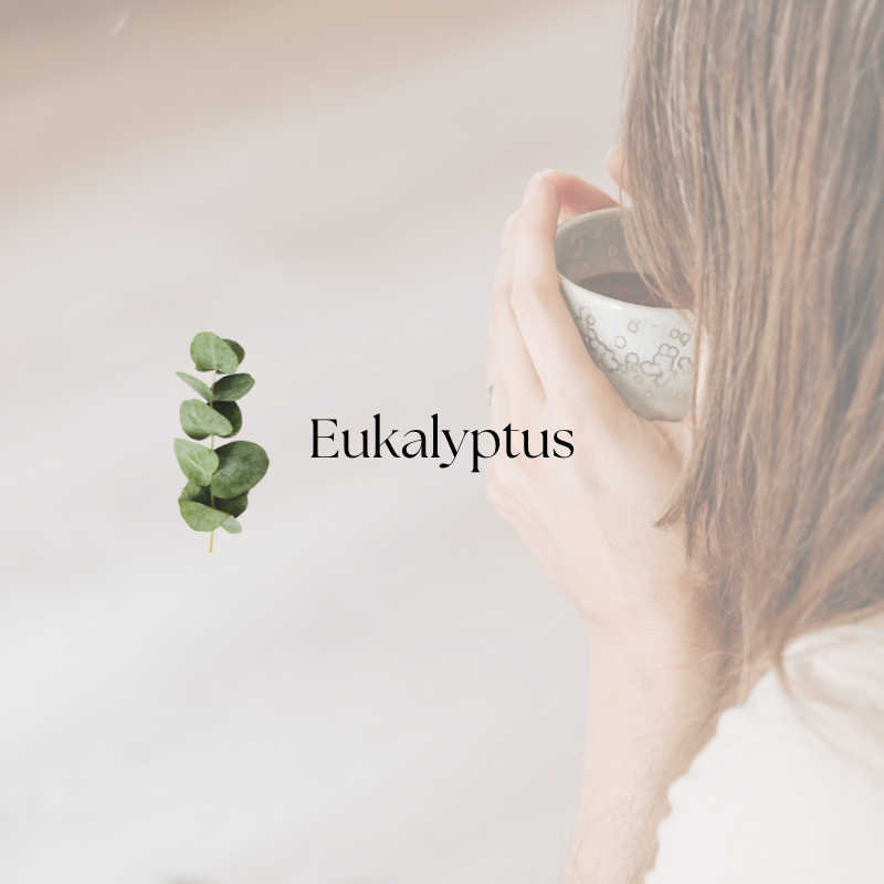 doTERRA Eucalyptus (Eukalyptus)