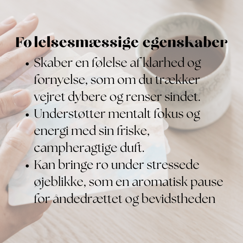 doTERRA Eucalyptus (Eukalyptus)