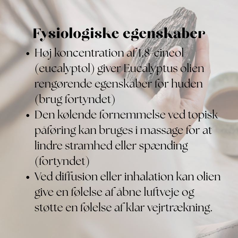 doTERRA Eucalyptus (Eukalyptus)