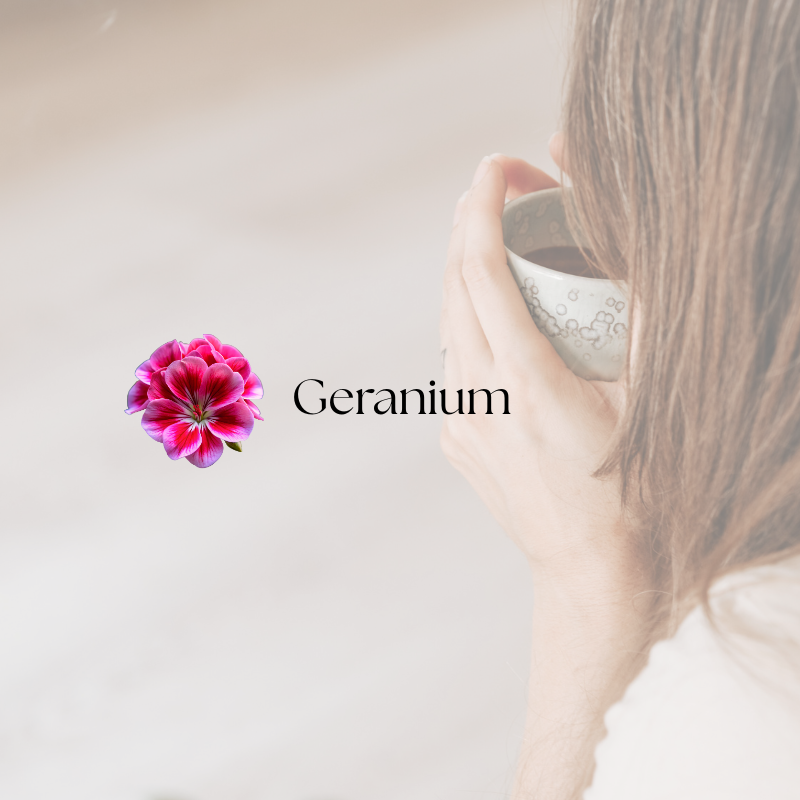 doTERRA Geranium