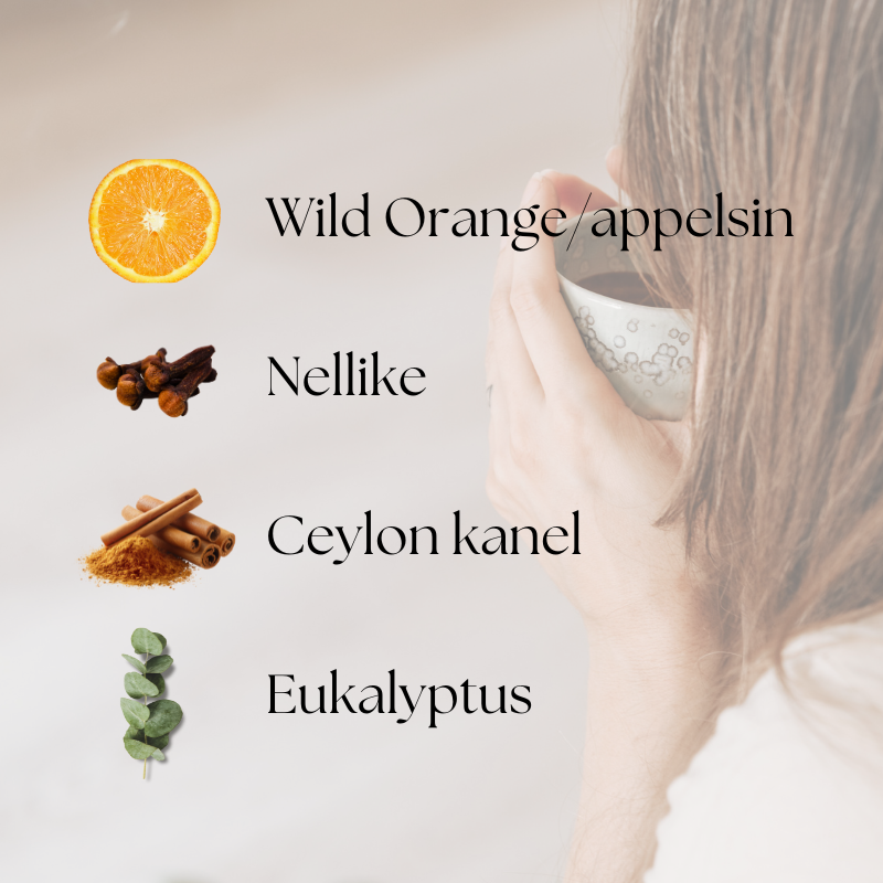 doTERRA On Guard Purifying Mist