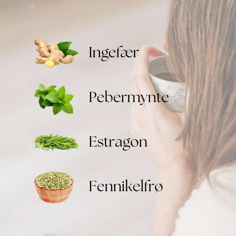 doTERRA ZenGest Touch