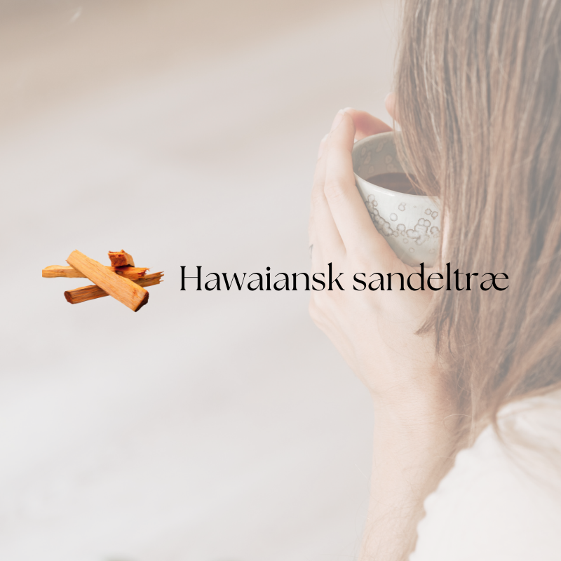 doTERRA Hawaiian Sandalwood (sandeltræ)
