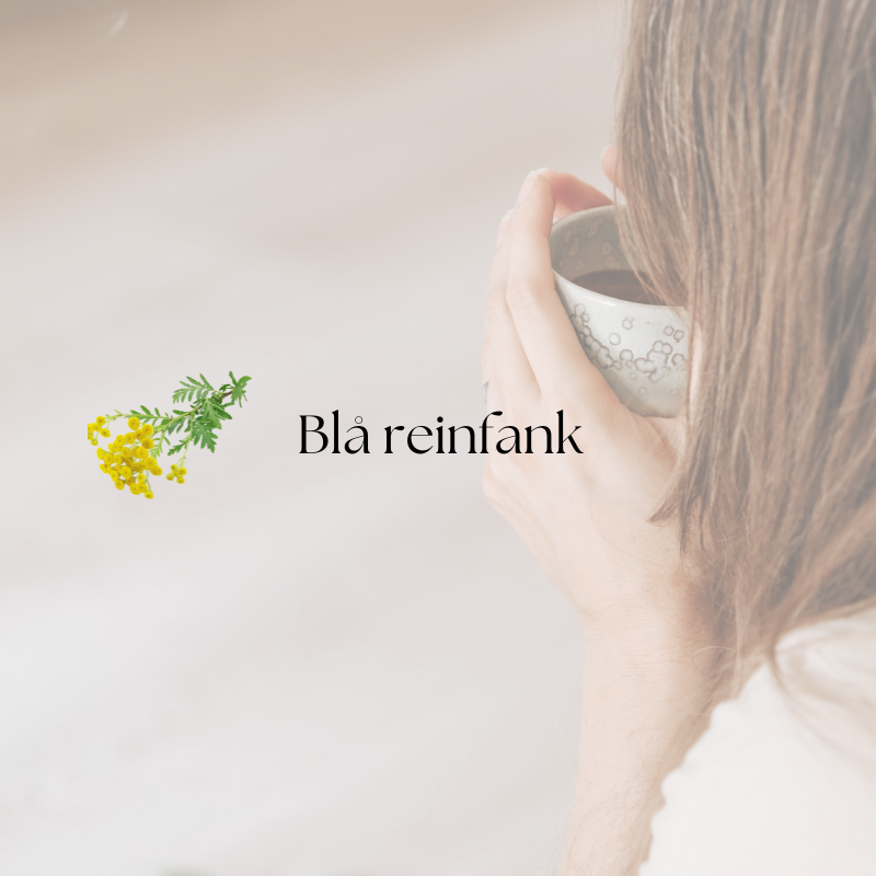 doTERRA Blue Tansy (Blå reinfank)