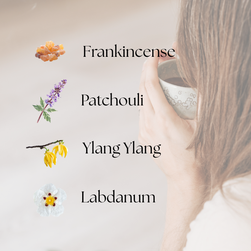 doTERRA Console Touch