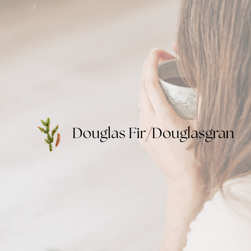 doTERRA Douglas fir