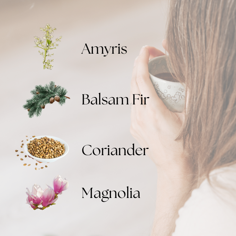 doTERRA Steady Touch