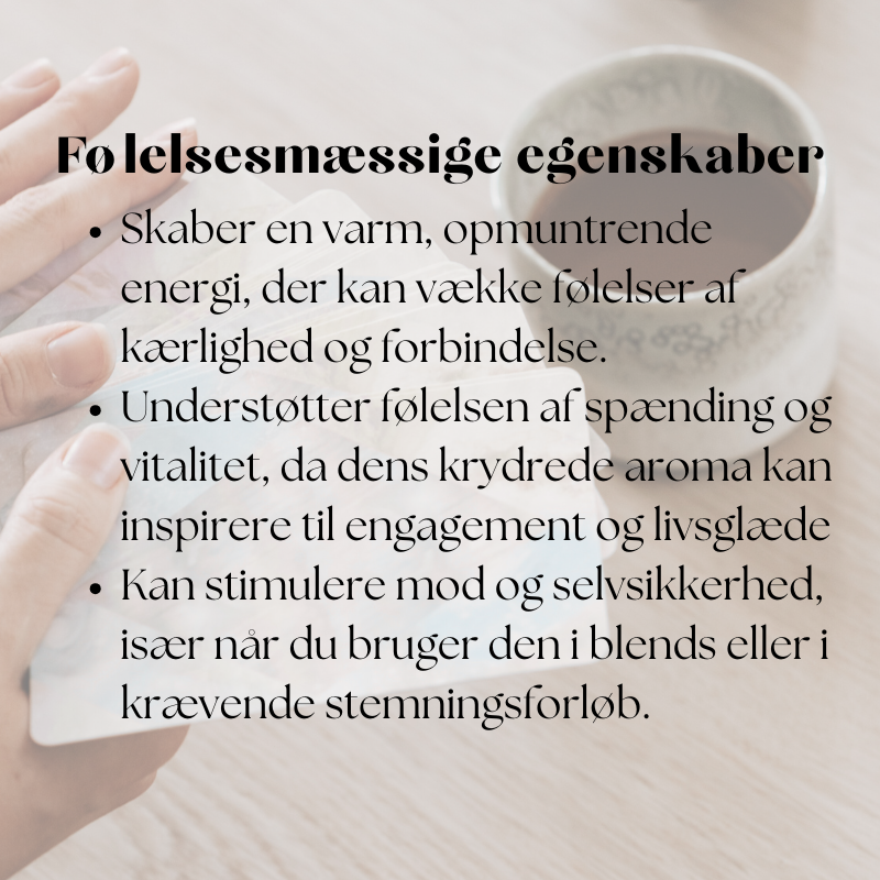 doTERRA Cassia (Kassia kanel)