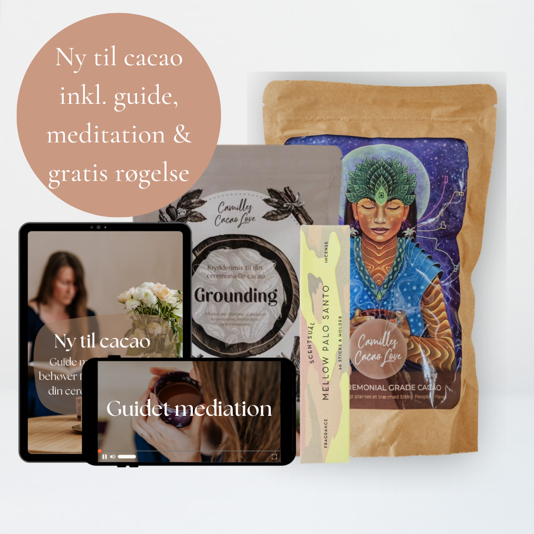 Ny i cacaoens univers (inkl. guide+meditation)