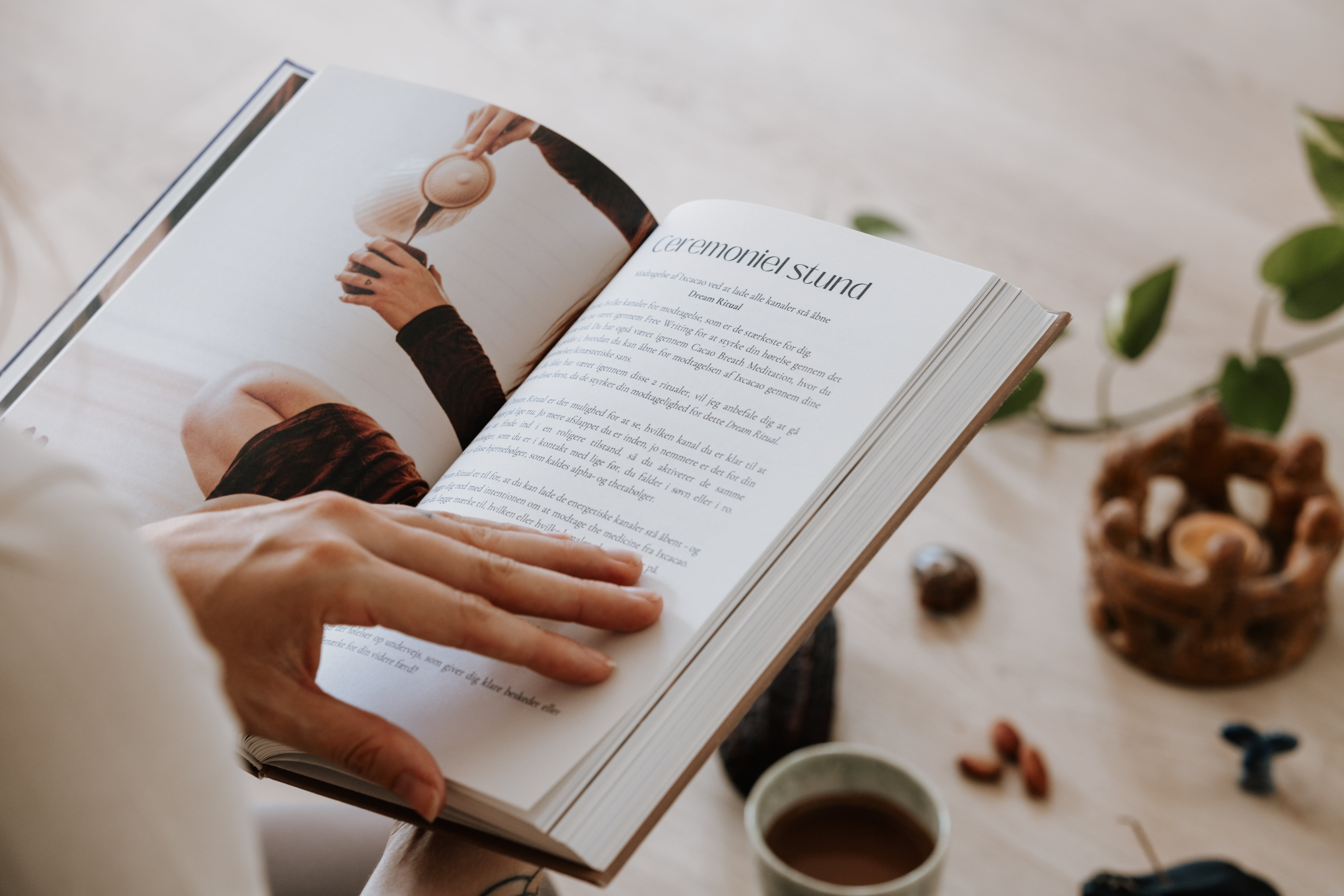 Cacao Journal (Hardcover)