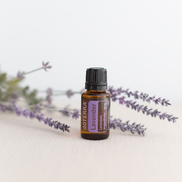 doTERRA Lavendel